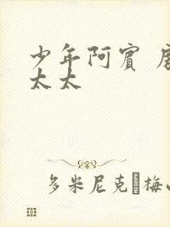 少年阿宾 房东太太