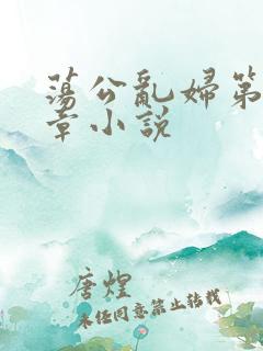 荡公乱妇第51章小说