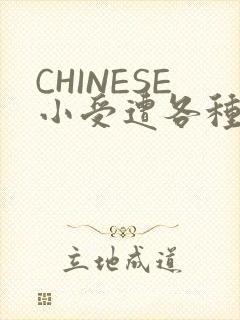 CHINESE小受遭各种打桩