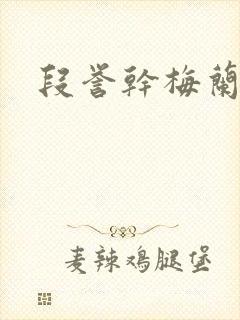 段誉干梅兰竹菊