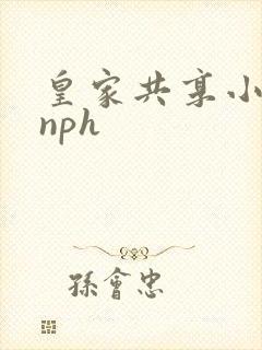 皇家共享小公主nph