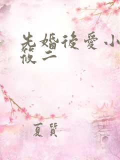 先婚后爱小说梦筱二