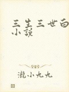 三生三世白暮泪小说