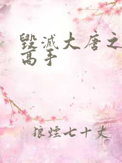 毁灭大唐之异能高手