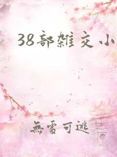 38部杂交小说
