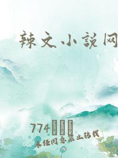 辣文小说网