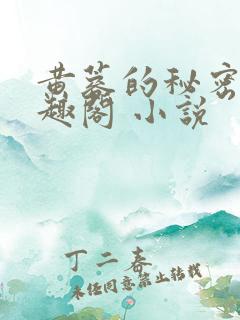 黄蓉的秘密 笔趣阁 小说