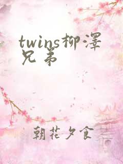 twins柳泽兄弟