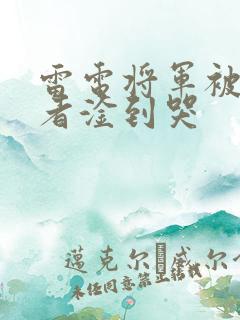 雷电将军被旅行者淦到哭