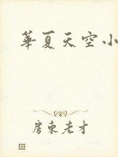 华夏天空小说网