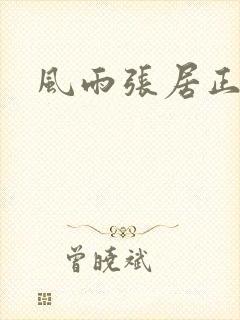 风雨张居正下载