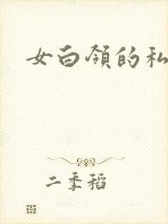 女白领的私生活