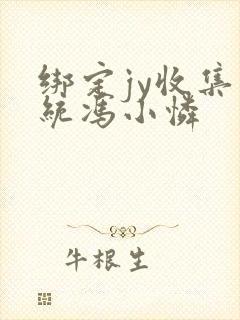 绑定jy收集系统冯小怜