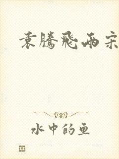 袁腾飞两宋风云