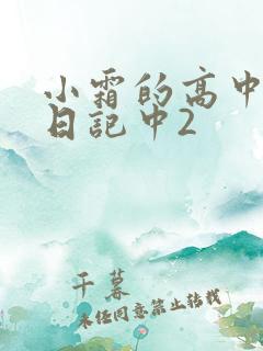 小霜的高中成长日记中2