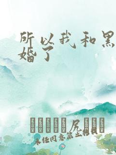 所以我和黑粉结婚了