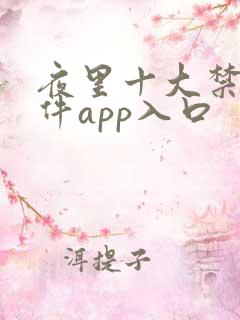 夜里十大禁用软件app入口