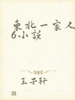 东北一家人1一6小说