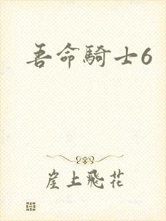 吾命骑士6