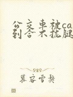 公交车被cao到合不拢腿app