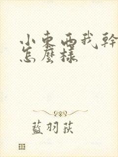 小东西我干的你怎么样