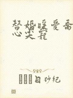 替婚暖爱乔少的心尖宠