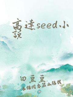 高达seed小说