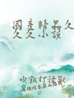 国产精品久久久久久小说