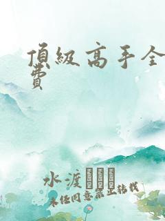 顶级高手全文免费