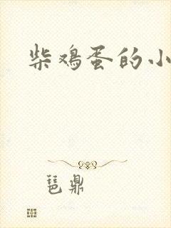 柴鸡蛋的小说