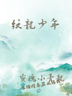 纹龙少年