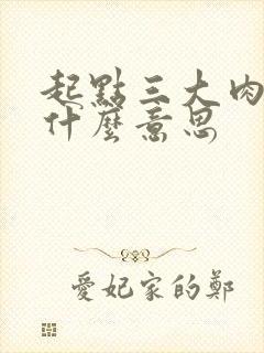 起点三大肉器是什么意思