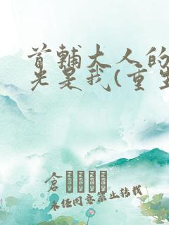 首辅大人的白月光是我(重生)