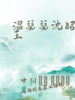 温瑟瑟沈昭摄政王