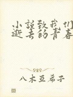 小说致我们终将逝去的青春