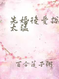 先婚后爱总裁别太猛