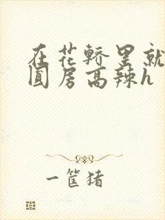 在花轿里就开始圆房高辣h