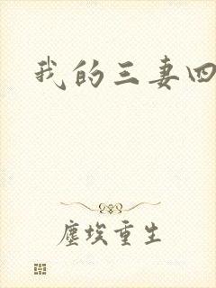 我的三妻四妾