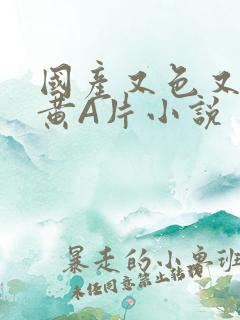 国产又色又爽又黄A片小说