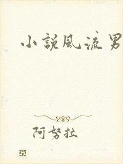 小说风流男护理