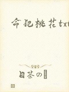 命犯桃花txt