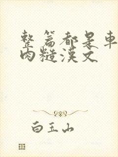 整篇都是车的多肉糙汉文