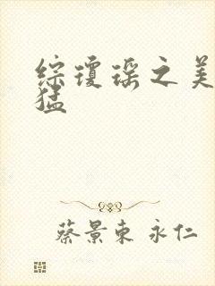 综琼瑶之美人凶猛