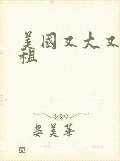 美国又大又长又租