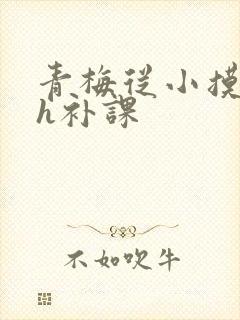 青梅从小摸到大h补课