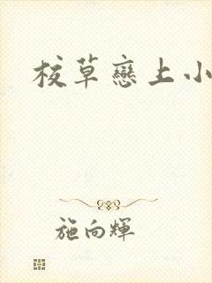 校草恋上小丫头