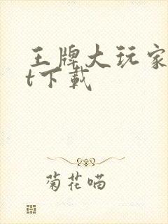 王牌大玩家txt下载