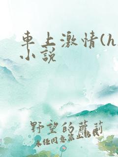 车上激情(h)小说