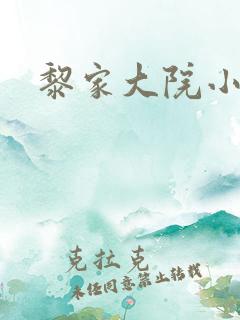 黎家大院小说