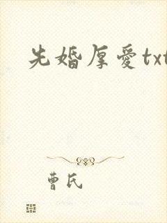 先婚厚爱txt